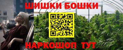 МДПВ Лесосибирск