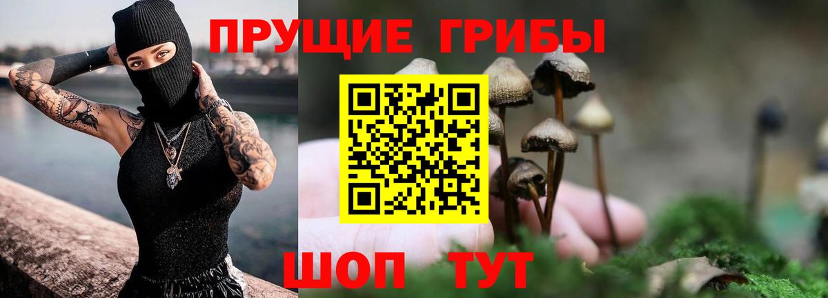 Псилоцибиновые грибы Psilocybine cubensis  Вход с VPN  наркота  Ялуторовск 